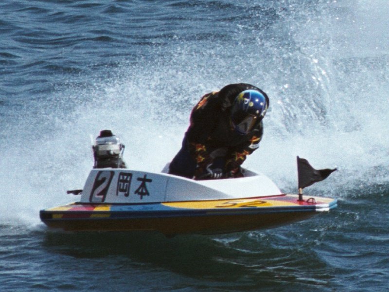 3081 ���{�T��